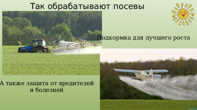 Так обрабатывают посевы Подкормка для лучшего роста А также защита от вредителей и болезней 