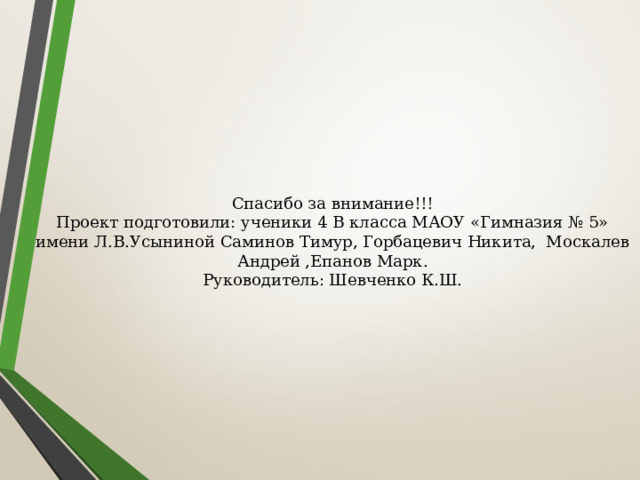 Спасибо за внимание!!! Проект подготовили: ученики 4 В класса МАОУ «Гимназия № 5» имени Л.В.Усыниной Саминов Тимур, Горбацевич Никита, Москалев Андрей ,Епанов Марк. Руководитель: Шевченко К.Ш. 