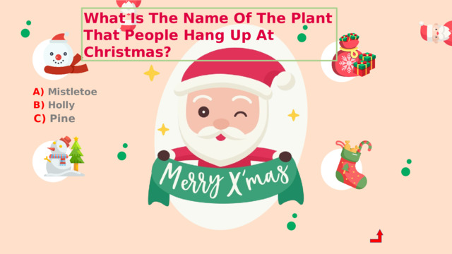 What Is The Name Of The Plant That People Hang Up At Christmas? A) Mistletoe B) Holly C) Pine 