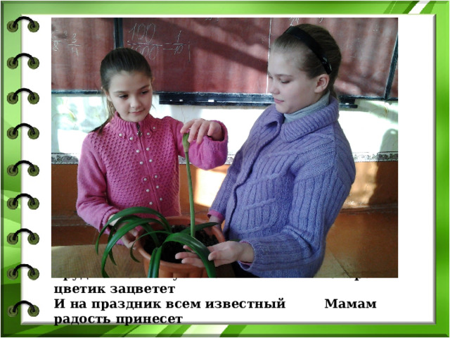 Труд венчается успехом Скоро цветик зацветет  И на праздник всем известный Мамам радость принесет   