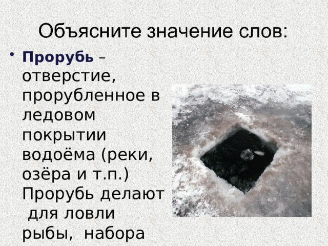 Прорубь – отверстие, прорубленное в ледовом покрытии водоёма (реки, озёра и т.п.) Прорубь делают для ловли рыбы, набора воды. 
