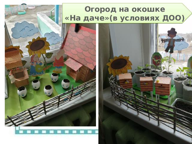 Огород на окошке «На даче»(в условиях ДОО) 