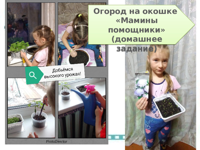 Огород на окошке «Мамины помощники» (домашнее задание) 