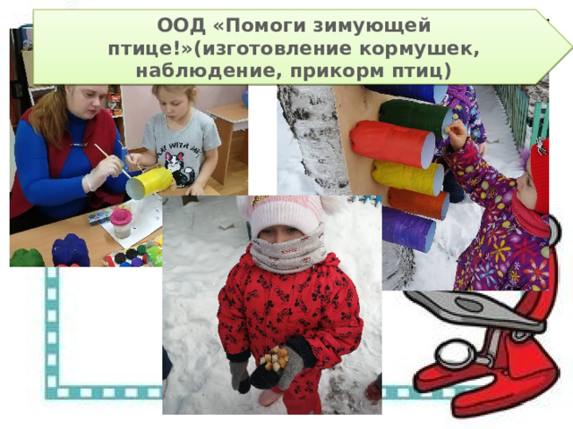 ООД «Помоги зимующей птице!»(изготовление кормушек, наблюдение, прикорм птиц) 