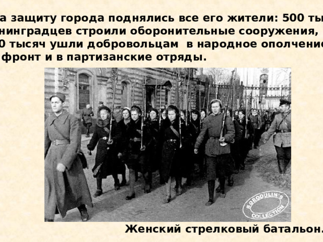  На защиту города поднялись все его жители: 500 тысяч ленинградцев строили оборонительные сооружения, 300 тысяч ушли добровольцам в народное ополчение, на фронт и в партизанские отряды. Женский стрелковый батальон. На защиту города поднялись все его жители: 500 тысяч ленинградцев строили оборонительные сооружения, 300 тысяч ушли добровольцам в народное ополчение, на фронт и в партизанские отряды. Женский стрелковый батальон. 