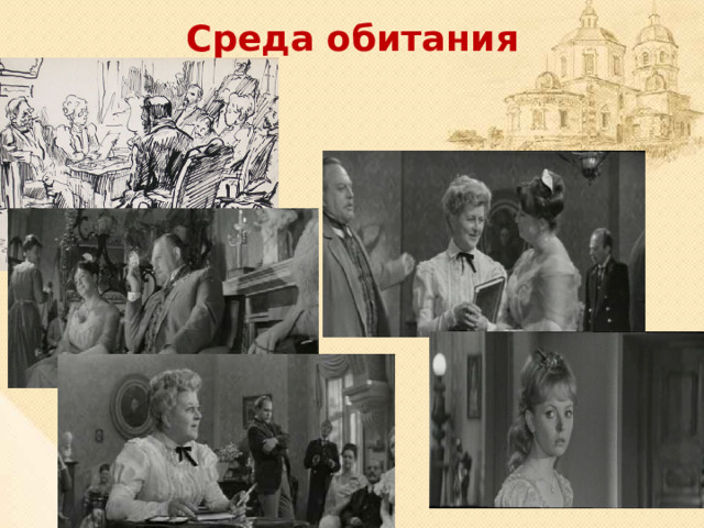 Среда обитания   