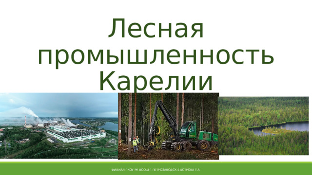 Лесная промышленность Карелии филиал ГКОУ РК ВСОШ г.Петрозаводск Быстрова Т.А. 