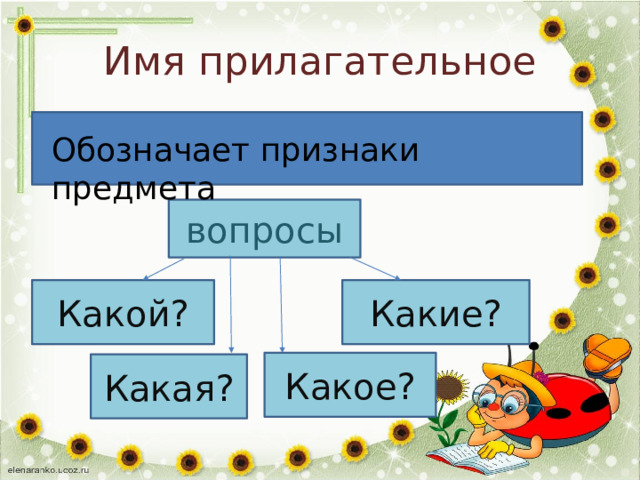 Имя прилагательное Обозначает признаки предмета вопросы Какой? Какие? Какое? Какая? 