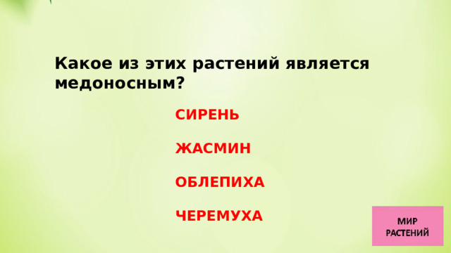 Какое из этих растений является медоносным?   СИРЕНЬ  ЖАСМИН  ОБЛЕПИХА  ЧЕРЕМУХА 