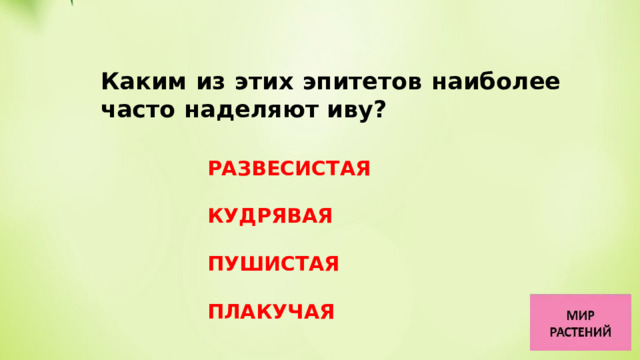 Каким из этих эпитетов наиболее часто наделяют иву?   РАЗВЕСИСТАЯ  КУДРЯВАЯ  ПУШИСТАЯ  ПЛАКУЧАЯ 