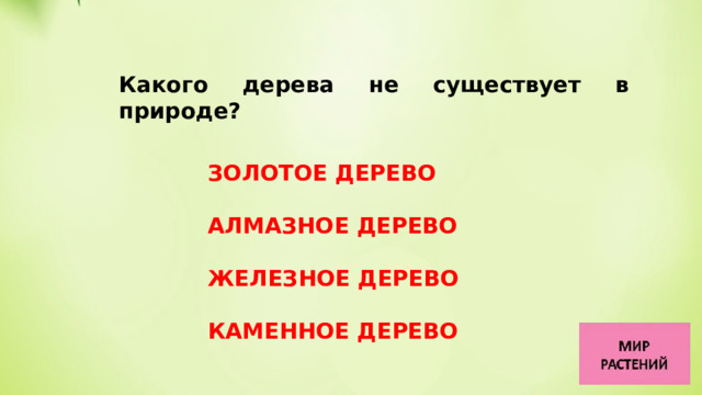 Какого дерева не существует в природе?   ЗОЛОТОЕ ДЕРЕВО АЛМАЗНОЕ ДЕРЕВО ЖЕЛЕЗНОЕ ДЕРЕВО КАМЕННОЕ ДЕРЕВО 