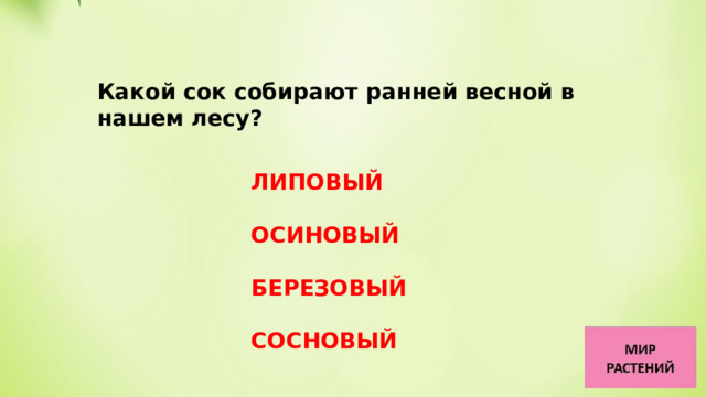 Какой сок собирают ранней весной в нашем лесу?     ЛИПОВЫЙ  ОСИНОВЫЙ БЕРЕЗОВЫЙ СОСНОВЫЙ 
