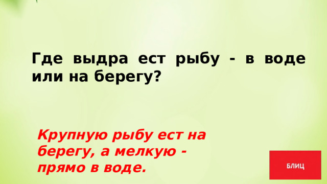 Где выдра ест рыбу - в воде или на берегу? Крупную рыбу ест на берегу, а мелкую - прямо в воде. 