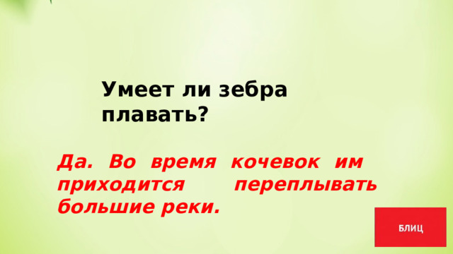 Умеет ли зебра плавать? Да. Во время кочевок им приходится переплывать большие реки. 