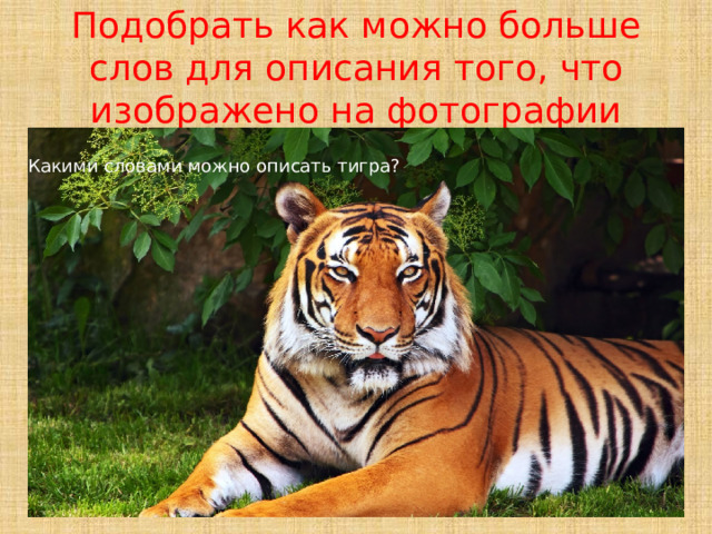 Подобрать как можно больше слов для описания того, что изображено на фотографии Какими словами можно описать тигра? 