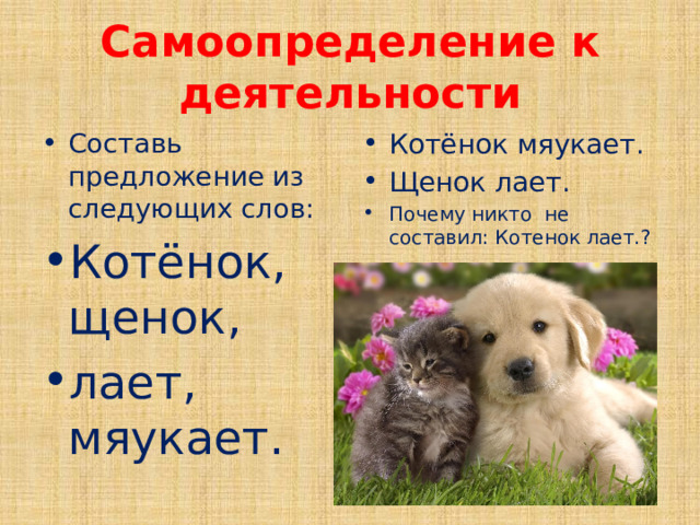 Самоопределение к деятельности Составь предложение из следующих слов: Котёнок, щенок, лает, мяукает. Котёнок мяукает. Щенок лает. Почему никто не составил: Котенок лает.? 