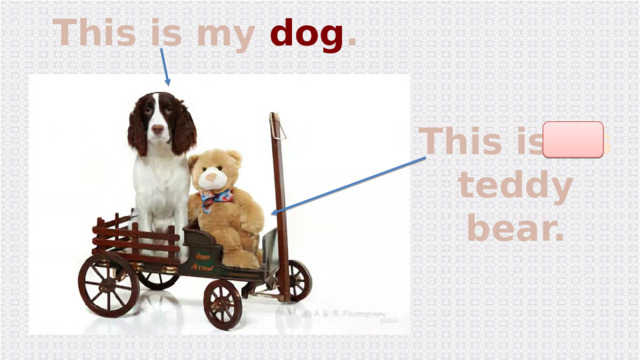 This is my dog . This is its teddy bear. 