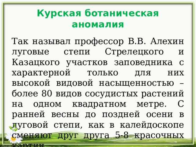 Курская ботаническая аномалия Так называл профессор В.В. Алехин луговые степи Стрелецкого и Казацкого участков заповедника с характерной только для них высокой видовой насыщенностью – более 80 видов сосудистых растений на одном квадратном метре. С ранней весны до поздней осени в луговой степи, как в калейдоскопе сменяют друг друга 5-8 красочных картин. 