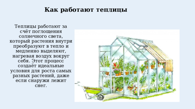 Как работают теплицы   Теплицы работают за счёт поглощения солнечного света, который растения внутри преобразуют в тепло и медленно выделяют, нагревая воздух вокруг себя. Этот процесс создаёт идеальные условия для роста самых разных растений, даже если снаружи лежит снег.   