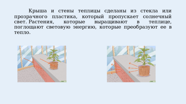  Крыша и стены теплицы сделаны из стекла или прозрачного пластика, который пропускает солнечный свет. Растения, которые выращивают в теплице, поглощают световую энергию, которые преобразуют ее в тепло. 