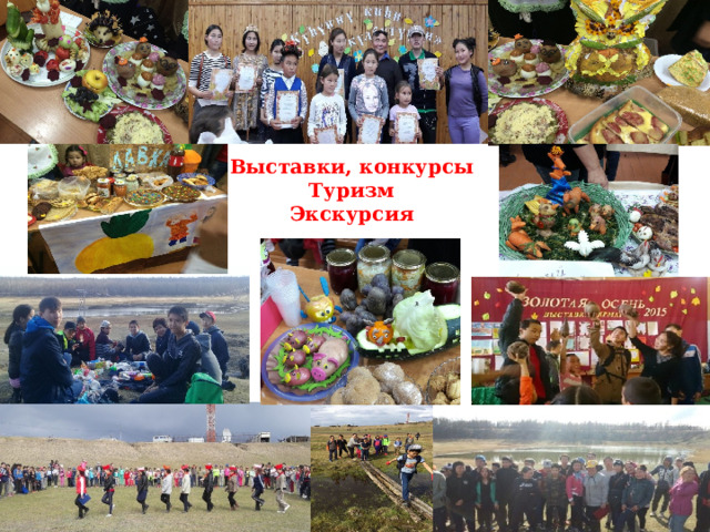 Выставки, конкурсы Туризм Экскурсия 