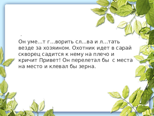   . Он уме…т г…ворить сл…ва и л…тать везде за хозяином. Охотник идет в сарай скворец садится к нему на плечо и кричит Привет! Он перелетал бы с места на место и клевал бы зерна. 