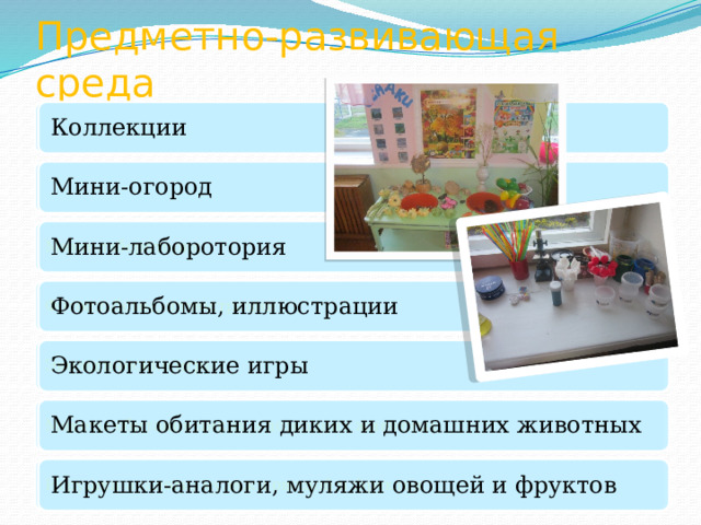 Предметно-развивающая среда Коллекции Коллекции Мини-огород Мини-огород Мини-лаборотория Мини-лаборотория Фотоальбомы, иллюстрации Фотоальбомы, иллюстрации Экологические игры Экологические игры Макеты обитания диких и домашних животных Макеты обитания диких и домашних животных Игрушки-аналоги, муляжи овощей и фруктов Игрушки-аналоги, муляжи овощей и фруктов 