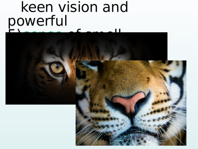  keen vision and powerful 5)  sense of smell 