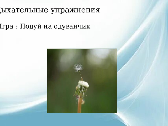 Дыхательные упражнения Игра : Подуй на одуванчик 