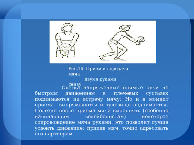 Рис.16. Прием и передача мяча  двумя руками снизу  Слегка напряженные прямые руки не быстрым движением в плечевых суставах поднимаются на встречу мячу; Но и в момент приема выпрямляются и туловище поднимается. Полезно после приема мяча выполнять (особенно начинающим волейболистам) некоторое сопровождение мяча руками: это позволит лучше усвоить движение; приняв мяч, точно адресовать его партнерам. 