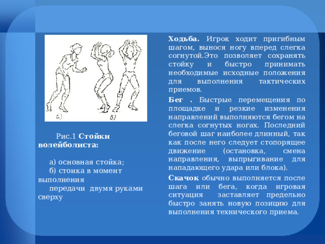 Ходьба. Игрок ходит пригибным шагом, вынося ногу вперед слегка согнутой.Это позволяет сохранять стойку и быстро принимать необходимые исходные положения для выполнения тактических приемов. Бег . Быстрые перемещения по площадке и резкие изменения направлений выполняются бегом на слегка согнутых ногах. Последний беговой шаг наиболее длинный, так как после него следует стопорящее движение (остановка, смена направления, выпрыгивание для нападающего удара или блока). Скачок обычно выполняется после шага или бега, когда игровая ситуация заставляет предельно быстро занять новую позицию для выполнения технического приема.  Рис.1 Стойки волейболиста:   а) основная стойка;  б) стоика в момент выполнения  передачи двумя руками сверху 