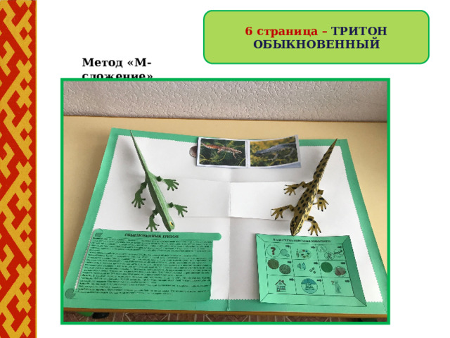 6 страница – ТРИТОН ОБЫКНОВЕННЫЙ Метод «М-сложение» 