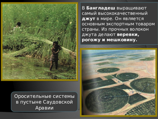 В Бангладеш выращивают самый высококачественный джут в мире. Он является основным экспортным товаром страны. Из прочных волокон джута делают веревки, рогожу и мешковину. Оросительные системы в пустыне Саудовской Аравии 