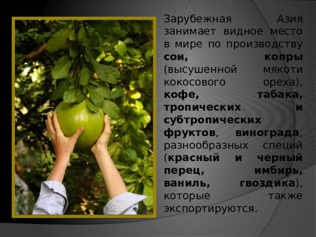 Зарубежная Азия занимает видное место в мире по производству сои, копры (высушенной мякоти кокосового ореха), кофе, табака, тропических и субтропических фруктов , винограда , разнообразных специй ( красный и черный перец, имбирь, ваниль, гвоздика ), которые также экспортируются. 