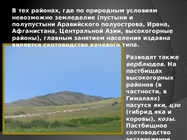 В тех районах, где по природным условиям невозможно земледелие (пустыни и полупустыни Аравийского полуострова, Ирана, Афганистана, Центральной Азии, высокогорные районы), главным занятием населения издавна является скотоводство кочевого типа. Разводят также верблюдов. На пастбищах высокогорных районов (в частности, в Гималаях) пасутся яки, цзо (гибрид яка и коровы), козы. Пастбищное скотоводство экстенсивное. 