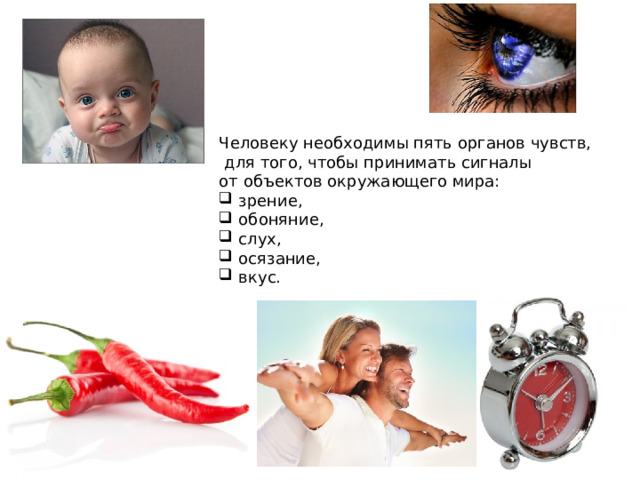Человеку необходимы пять органов чувств,  для того, чтобы принимать сигналы от объектов окружающего мира:  зрение,  обоняние,  слух,  осязание,  вкус. 