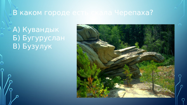 В каком городе есть скала Черепаха? А) Кувандык Б) Бугуруслан В) Бузулук 