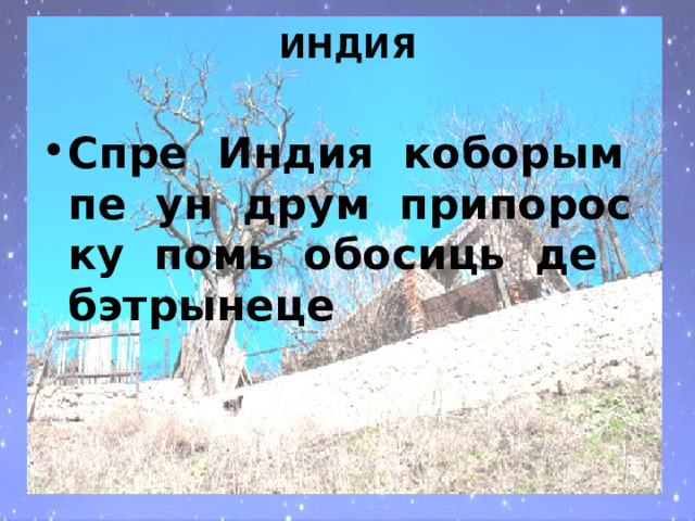 ИНДИЯ   Спре Индия коборым пе ун друм припорос ку помь обосиць де бэтрынеце 