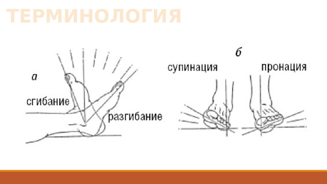 ТЕРМИНОЛОГИЯ 