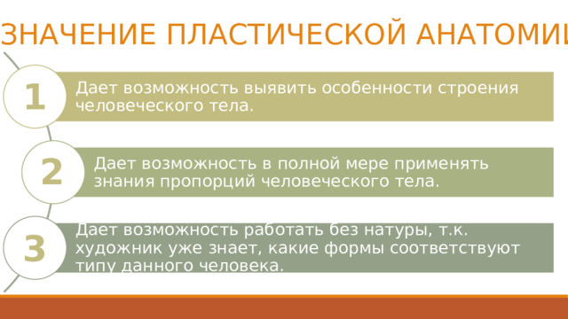 ЗНАЧЕНИЕ ПЛАСТИЧЕСКОЙ АНАТОМИИ Дает возможность выявить особенности строения человеческого тела. 1 2 Дает возможность в полной мере применять знания пропорций человеческого тела. Дает возможность работать без натуры, т.к. художник уже знает, какие формы соответствуют типу данного человека. 3 