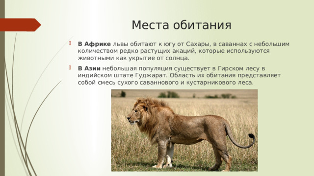 Места обитания   В Африке  львы обитают к югу от Сахары, в саваннах с небольшим количеством редко растущих акаций, которые используются животными как укрытие от солнца. В Азии  небольшая популяция существует в Гирском лесу в индийском штате Гуджарат. Область их обитания представляет собой смесь сухого саваннового и кустарникового леса. 