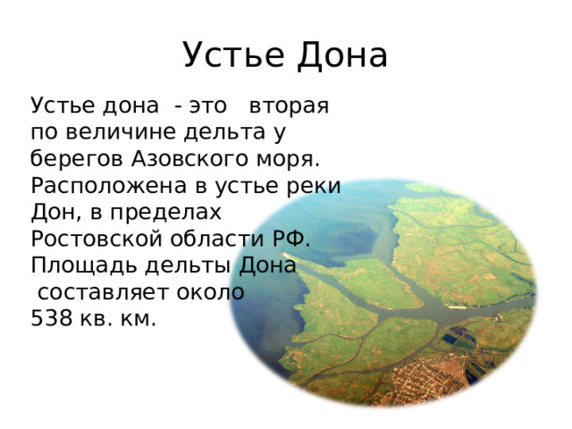 Устье Дона Устье дона - это вторая по величине дельта у берегов Азовского моря. Расположена в устье реки Дон, в пределах Ростовской области РФ. Площадь дельты Дона  составляет около 538 кв. км. 