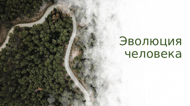 Эволюция человека 