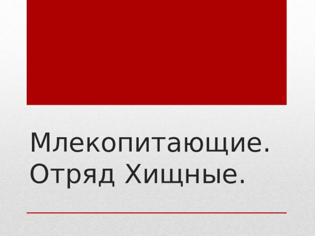 Млекопитающие. Отряд Хищные. 