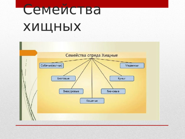 Семейства хищных 