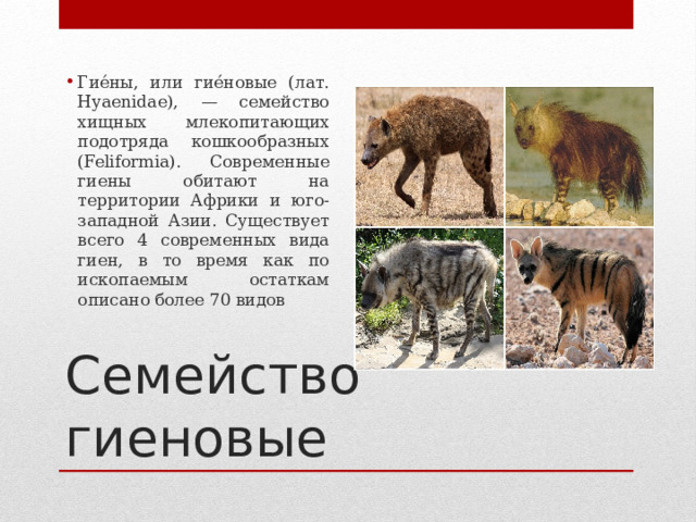Гие́ны, или гие́новые (лат. Hyaenidae), — семейство хищных млекопитающих подотряда кошкообразных (Feliformia). Современные гиены обитают на территории Африки и юго-западной Азии. Существует всего 4 современных вида гиен, в то время как по ископаемым остаткам описано более 70 видов Семейство гиеновые 