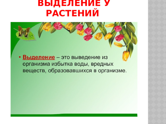 Выделение у растений 