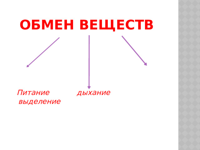 Обмен веществ       Питание дыхание выделение 