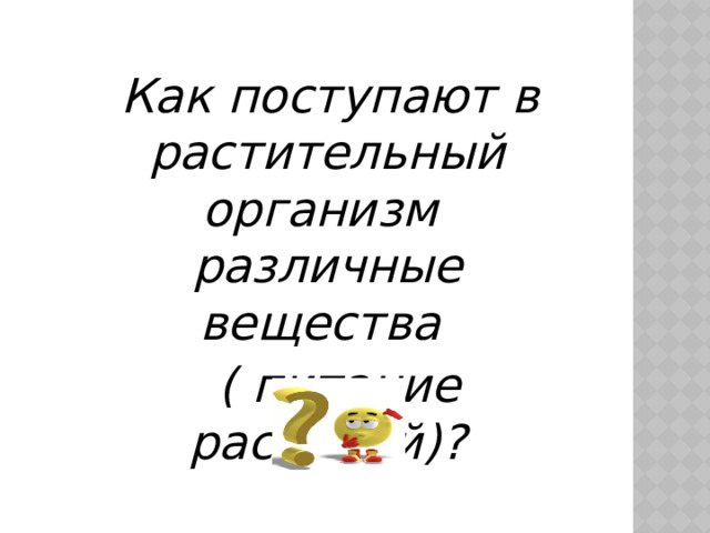  Как поступают в растительный организм различные вещества  ( питание растений)?  