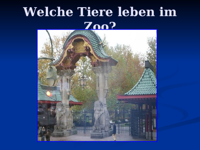 Welche Tiere leben im Zoo? 